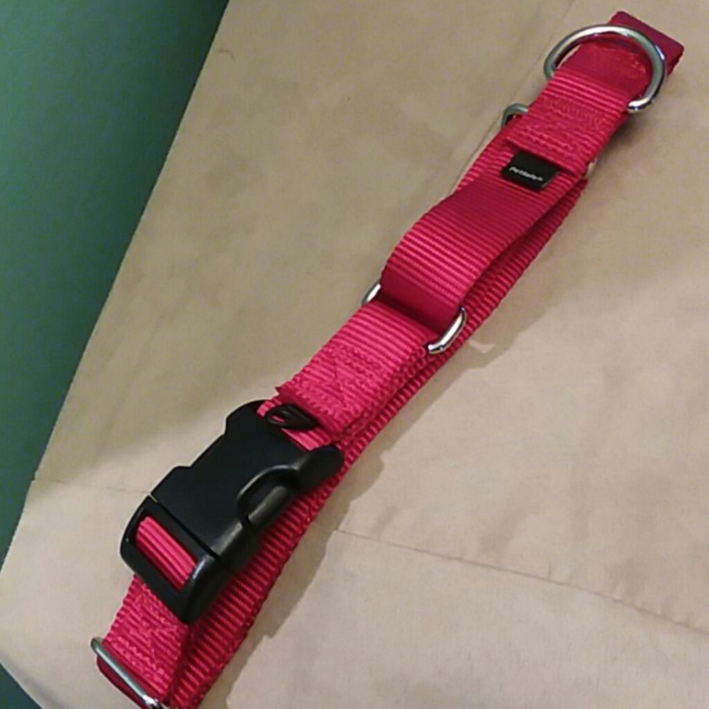 Large Pet Collar